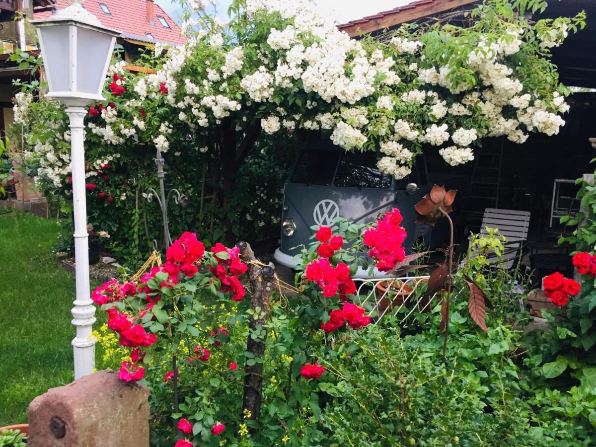 精灵苑乡村酒店 Kippenhausen 外观 照片